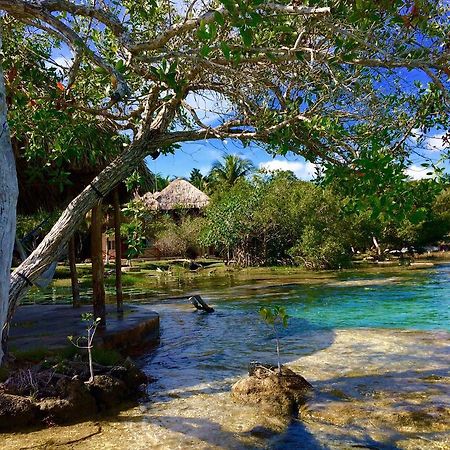 Casa Caracol Hotel Bacalar Bagian luar foto