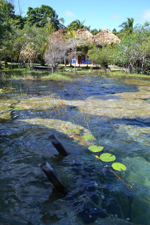 Casa Caracol Hotel Bacalar Bagian luar foto