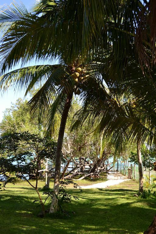Casa Caracol Hotel Bacalar Bagian luar foto