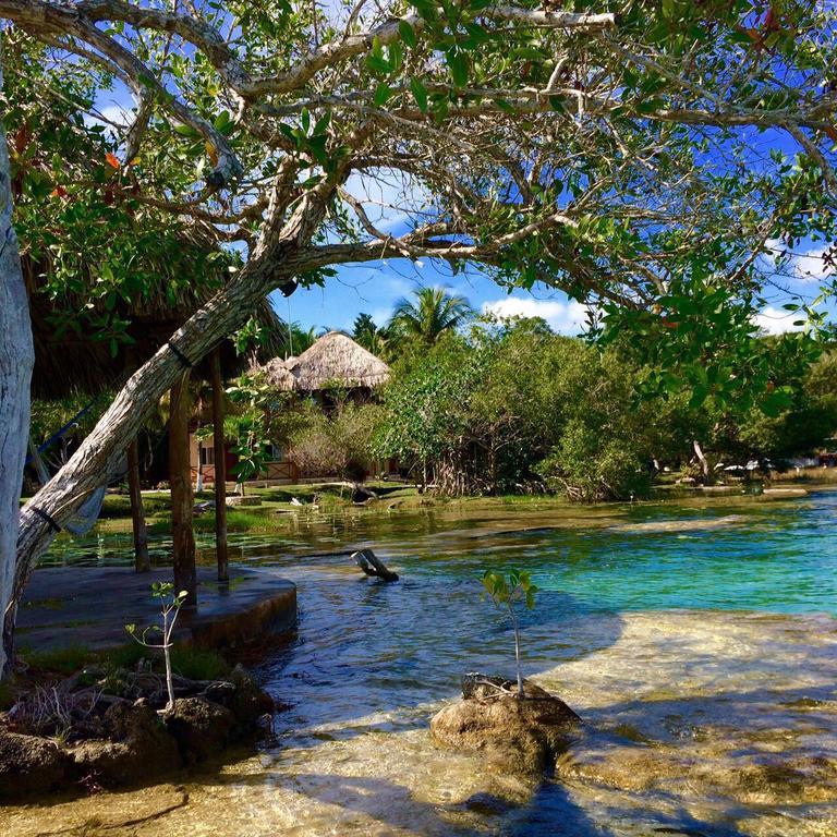 Casa Caracol Hotel Bacalar Bagian luar foto