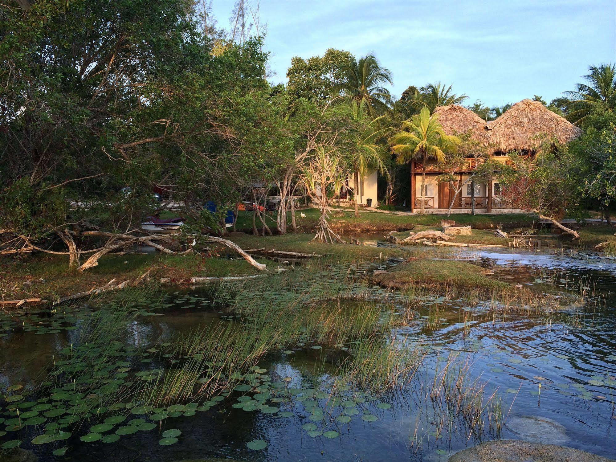 Casa Caracol Hotel Bacalar Bagian luar foto