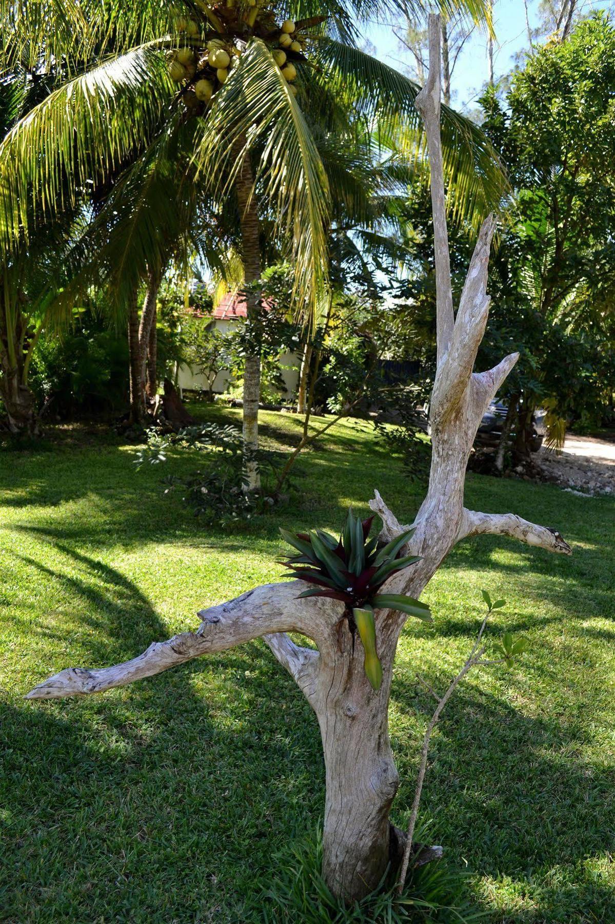 Casa Caracol Hotel Bacalar Bagian luar foto
